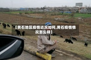 【黄石地区疫情近况如何,黄石疫情情况怎么样】
