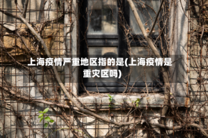上海疫情严重地区指的是(上海疫情是重灾区吗)