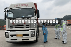高河疫情高风险地区(高河镇地图全图)