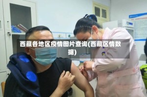 西藏各地区疫情图片查询(西藏区情数据)