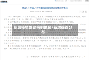 新增疫情确诊病例地区/新增确诊分布