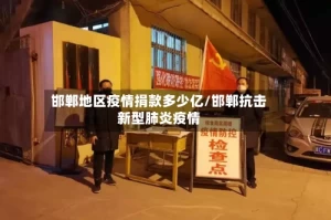 邯郸地区疫情捐款多少亿/邯郸抗击新型肺炎疫情