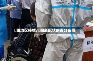 卲阳地区疫情/卲阳新冠状病毒分布图