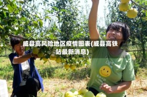 威县高风险地区疫情图表(威县高铁站最新消息)