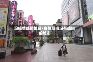 没疫情感染地区/疫情期间没有感染的城市