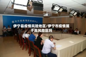 伊宁县疫情风险地区/伊宁市疫情属于高风险区吗