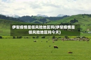 伊犁疫情是低风险地区吗(伊犁疫情是低风险地区吗今天)