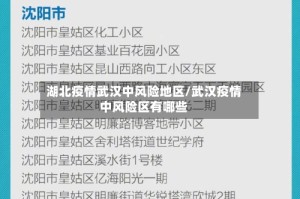 湖北疫情武汉中风险地区/武汉疫情中风险区有哪些