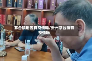 茅台镇地区有疫情吗/贵州茅台镇有疫情吗