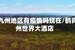 鹤岗九州地区有疫情吗现在/鹤岗九州世界大酒店