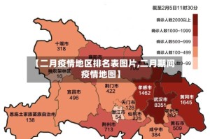 【二月疫情地区排名表图片,二月期间疫情地图】