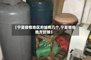 【宁夏疫情地区府城有几个,宁夏哪些地方封城】