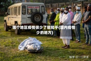哪个地区疫情很少了呢知乎(国内疫情少的地方)