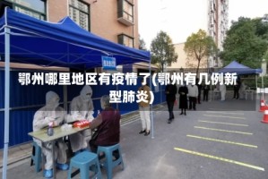 鄂州哪里地区有疫情了(鄂州有几例新型肺炎)
