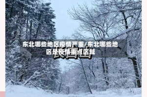 东北哪些地区疫情严重/东北哪些地区是疫情重点区域