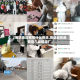 【廊坊地区疫情什么等级,廊坊现在疫情是几级响应】