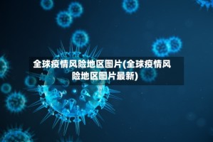 全球疫情风险地区图片(全球疫情风险地区图片最新)