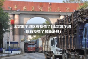 孟定哪个地区有疫情了(孟定哪个地区有疫情了最新消息)