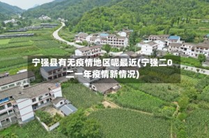宁强县有无疫情地区呢最近(宁强二0二一年疫情新情况)