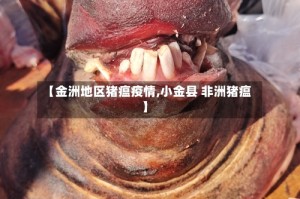 【金洲地区猪瘟疫情,小金县 非洲猪瘟】