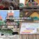 蒲河什么地区有疫情(蒲河附近有什么好玩的地方)