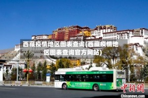 西藏疫情地区图表查询(西藏疫情地区图表查询官方网站)