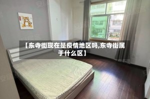 【东寺街现在是疫情地区吗,东寺街属于什么区】