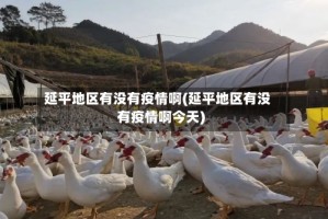 延平地区有没有疫情啊(延平地区有没有疫情啊今天)