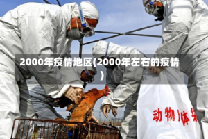 2000年疫情地区(2000年左右的疫情)
