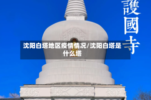 沈阳白塔地区疫情情况/沈阳白塔是什么塔