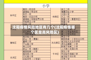 沈阳疫情风险地区有几个(沈阳疫情哪个区是高风险区)