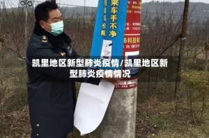 凯里地区新型肺炎疫情/凯里地区新型肺炎疫情情况