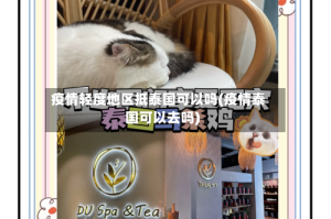 疫情轻度地区抵泰国可以吗(疫情泰国可以去吗)