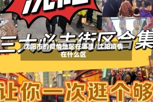 沈阳市的疫情地区在哪里/沈阳疫情在什么区