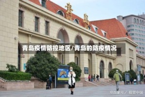 青岛疫情防控地区/青岛的防疫情况
