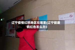 辽宁疫情红码地区在哪里(辽宁健康码红色怎么办)