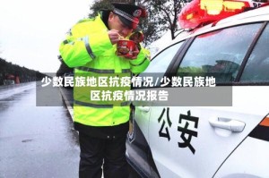 少数民族地区抗疫情况/少数民族地区抗疫情况报告