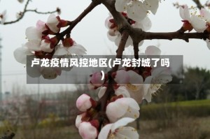 卢龙疫情风控地区(卢龙封城了吗)