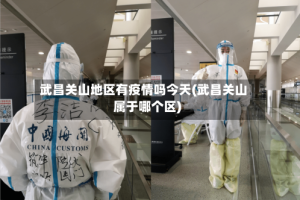 武昌关山地区有疫情吗今天(武昌关山属于哪个区)