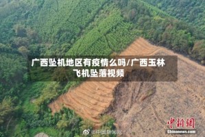 广西坠机地区有疫情么吗/广西玉林飞机坠落视频