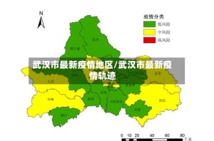 武汉市最新疫情地区/武汉市最新疫情轨迹