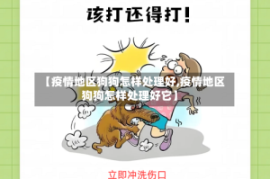 【疫情地区狗狗怎样处理好,疫情地区狗狗怎样处理好它】