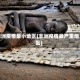 非洲疫情最小地区(非洲疫情最严重地区)