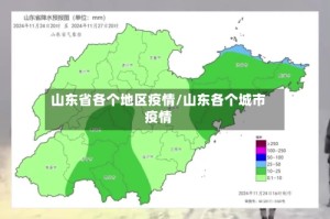 山东省各个地区疫情/山东各个城市疫情