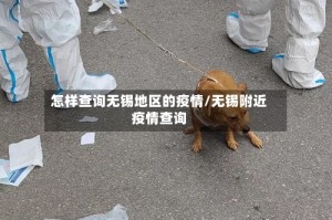 怎样查询无锡地区的疫情/无锡附近疫情查询