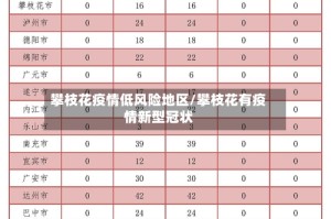 攀枝花疫情低风险地区/攀枝花有疫情新型冠状