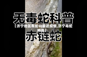 【济宁地区有蛇吗最近疫情,济宁毒蛇种类】