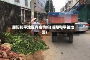 潮阳和平地区有疫情吗(潮阳和平镇地图)