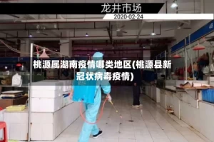 桃源属湖南疫情哪类地区(桃源县新冠状病毒疫情)