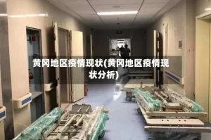 黄冈地区疫情现状(黄冈地区疫情现状分析)